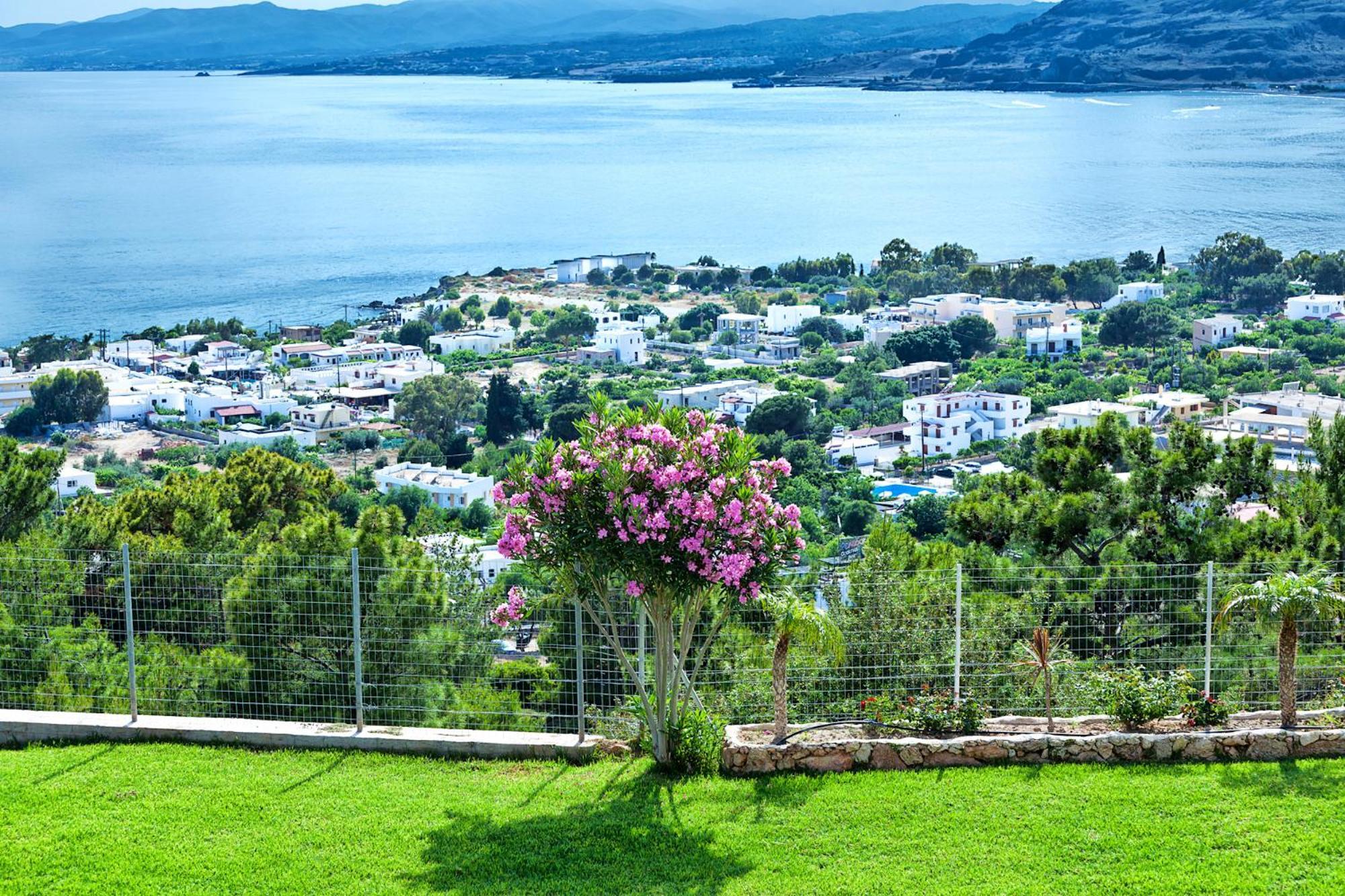 Pefkos Blue
